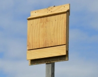 ARE BAT HOUSES RIGHT FOR MY PROPERTY?