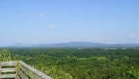 view from balcony