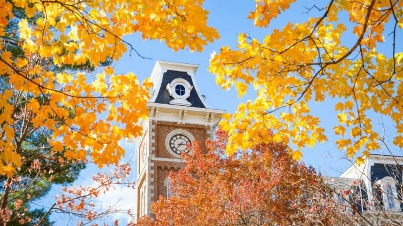 ArkansasRazorbacks.com