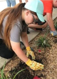 planting 2
